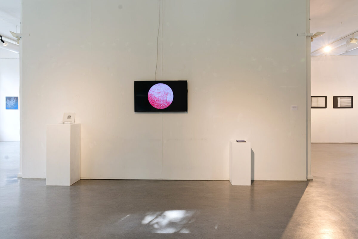 Ausstellung Frauenmuseum Berlin e.V. - 'Man steigt nicht zweimal in denselben Fluss'